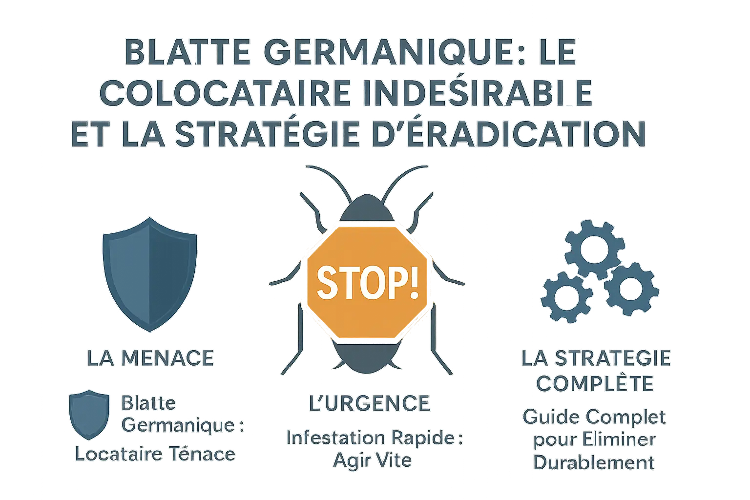 Blatte germanique sur fond sombre